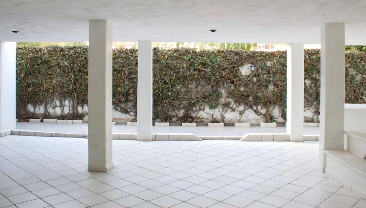 Terraza techada amplia con columnas blancas y pared cubierta de vegetación en casa Bosques de las Lomas